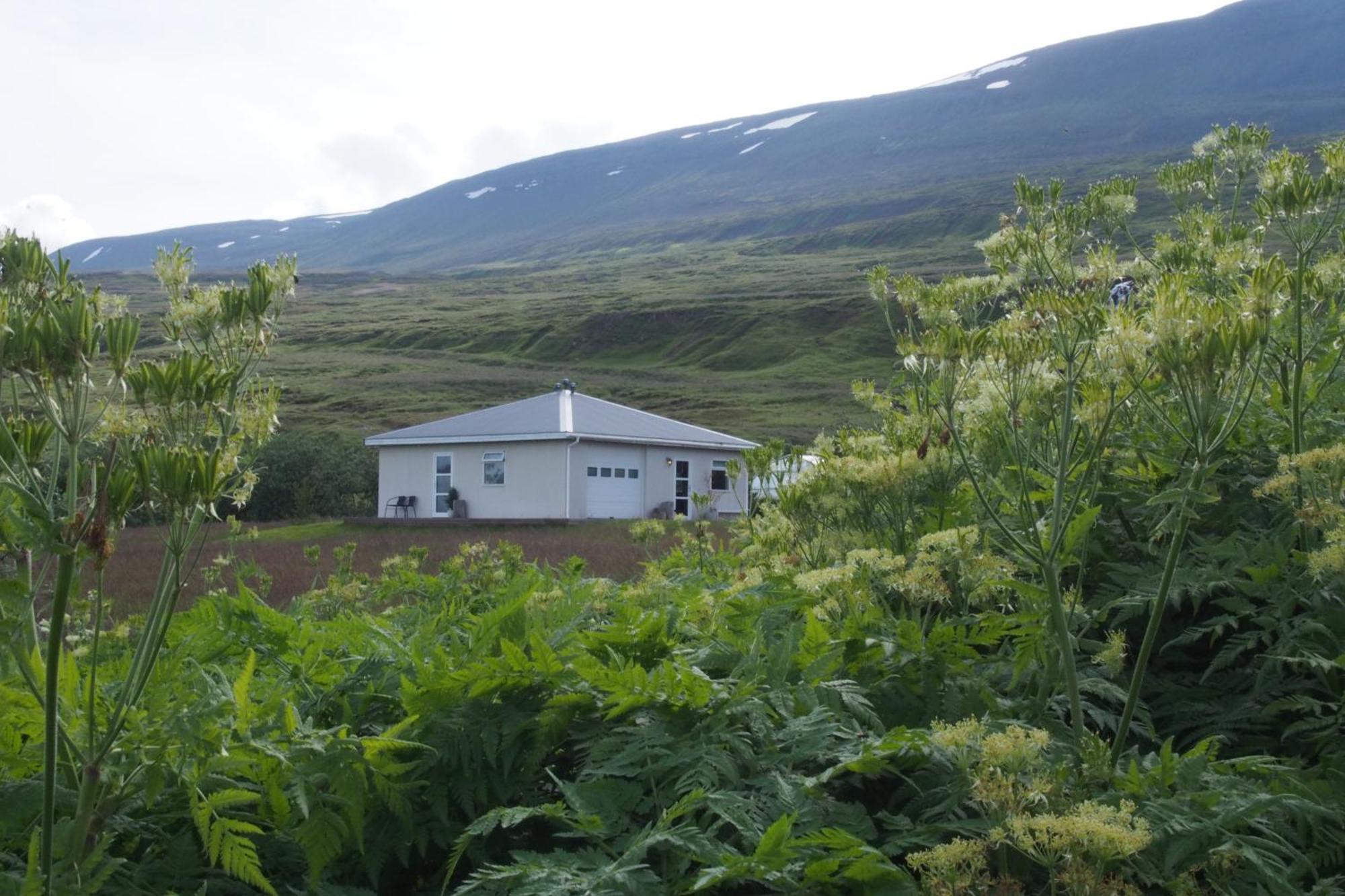 Granastathir Guesthouse Húsavík Extérieur photo